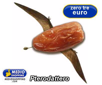 Medioshopping Pterodattero