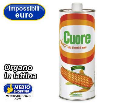 Medioshopping Organo in lattina