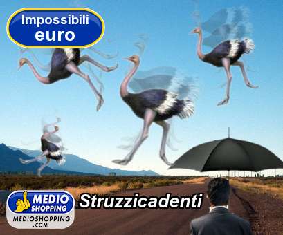 Medioshopping Struzzicadenti