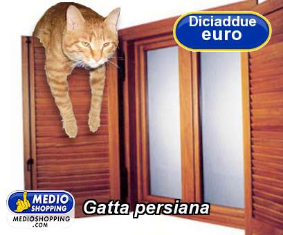 Medioshopping Gatta persiana