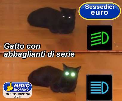 Medioshopping Gatto con abbaglianti di serie