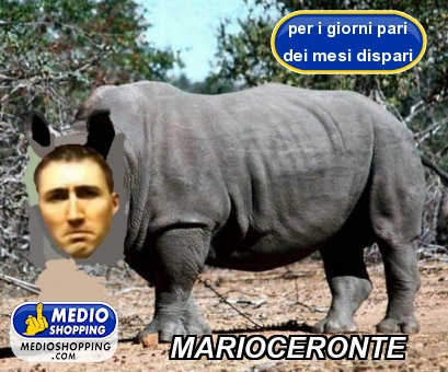 Medioshopping MARIOCERONTE