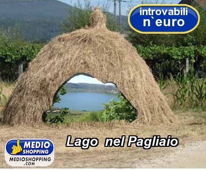 Medioshopping Lago  nel Pagliaio