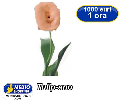 Tulip-ano