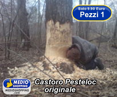 Castoro Pesteloc      originale