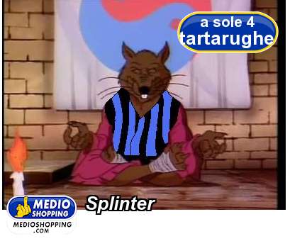 Medioshopping Splinter