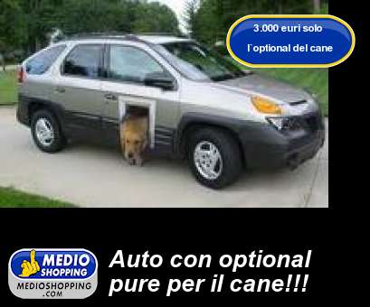 Auto con optional pure per il cane!!!