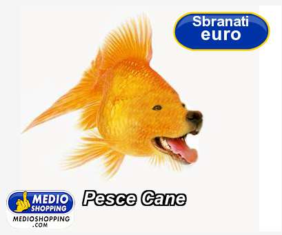 Medioshopping Pesce Cane