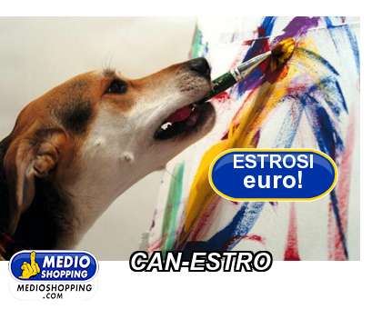 Medioshopping CAN-ESTRO