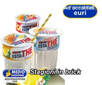 Medioshopping Stagioni in brick