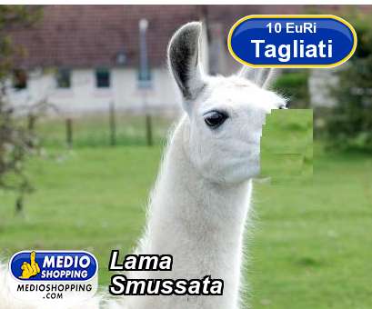 Medioshopping Lama Smussata