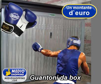 Medioshopping Guantoni da box