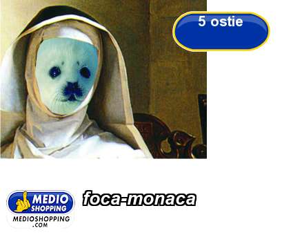 Medioshopping foca-monaca