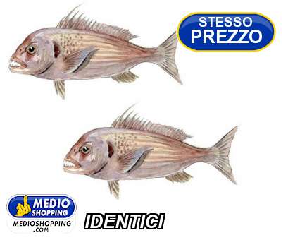 Medioshopping IDENTICI