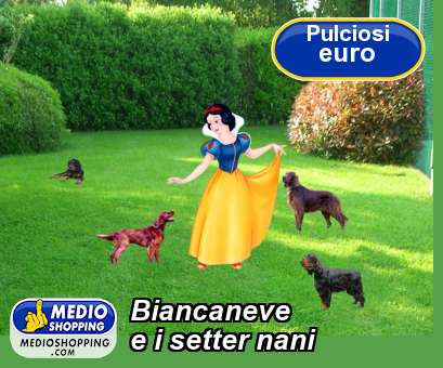 Medioshopping Biancaneve e i setter nani