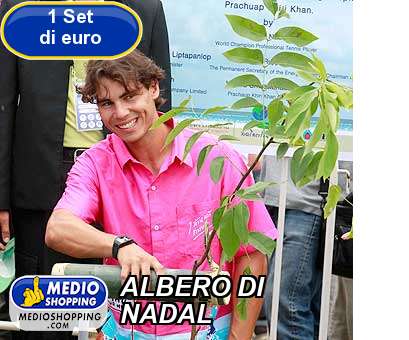 Medioshopping ALBERO DI NADAL