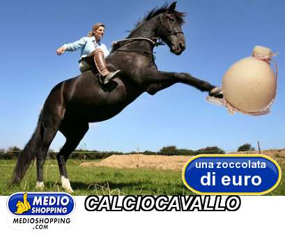 Medioshopping CALCIOCAVALLO