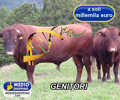 Medioshopping GENITORI