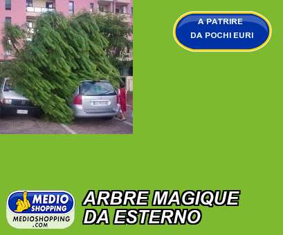 Medioshopping ARBRE MAGIQUE  DA ESTERNO