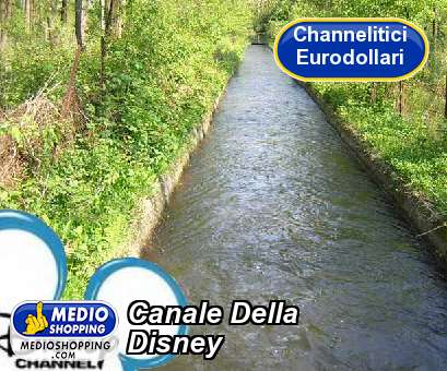 Medioshopping Canale Della  Disney