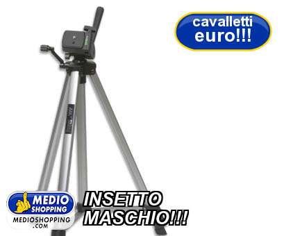 Medioshopping INSETTO MASCHIO!!!