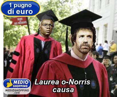 Medioshopping Laurea o-Norris          causa