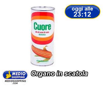 Medioshopping Organo in scatola