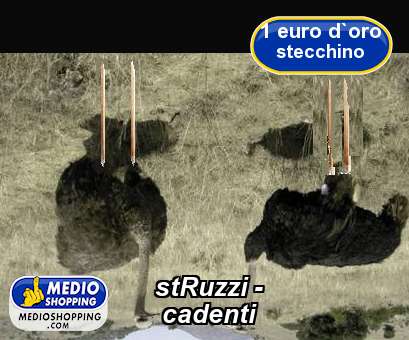 Medioshopping stRuzzi -       cadenti