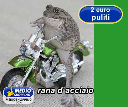 Medioshopping rana d`acciaio