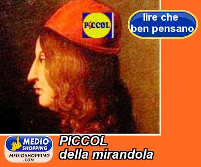 Medioshopping PICCOL della mirandola