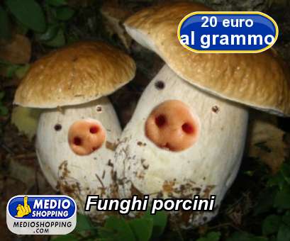 Medioshopping Funghi porcini