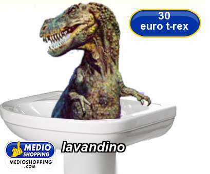 Medioshopping lavandino