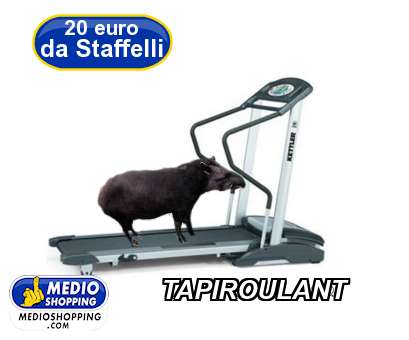 Medioshopping TAPIROULANT