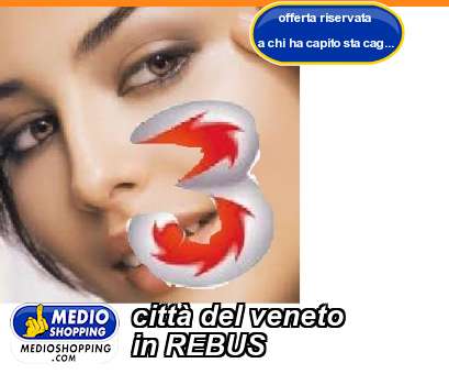 Medioshopping citt del veneto in REBUS