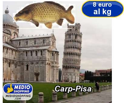 Carp-Pisa
