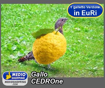 Medioshopping Gallo CEDROne