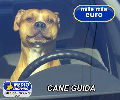 Medioshopping CANE GUIDA