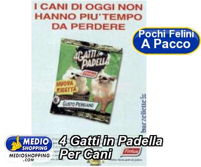 Medioshopping 4 Gatti in Padella Per Cani