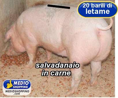 Medioshopping salvadanaio    in carne