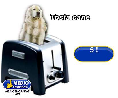 Tosta cane