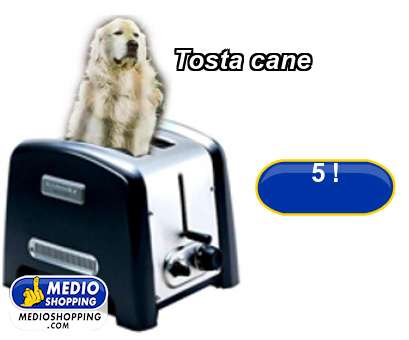 Medioshopping Tosta cane