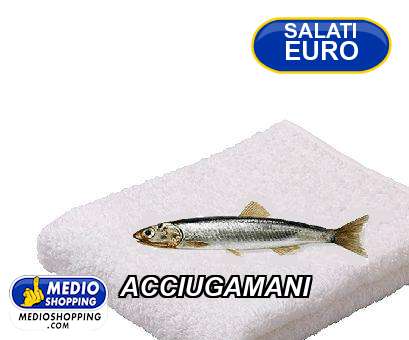 Medioshopping ACCIUGAMANI