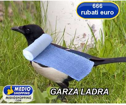 Medioshopping GARZA LADRA