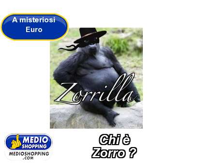 Chi è         Zorro ?