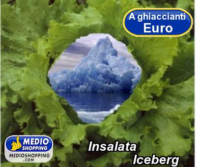 Medioshopping Insalata              Iceberg