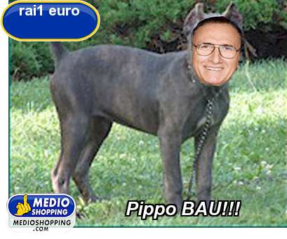 Pippo BAU!!!