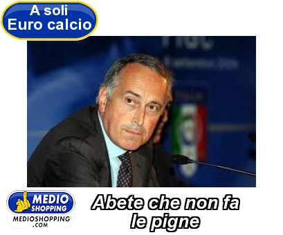 Medioshopping Abete che non fa         le pigne