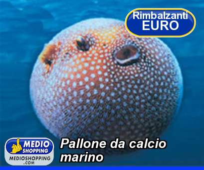 Medioshopping Pallone da calcio marino