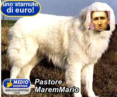 Pastore MaremMario