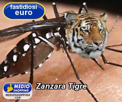 Zanzara Tigre